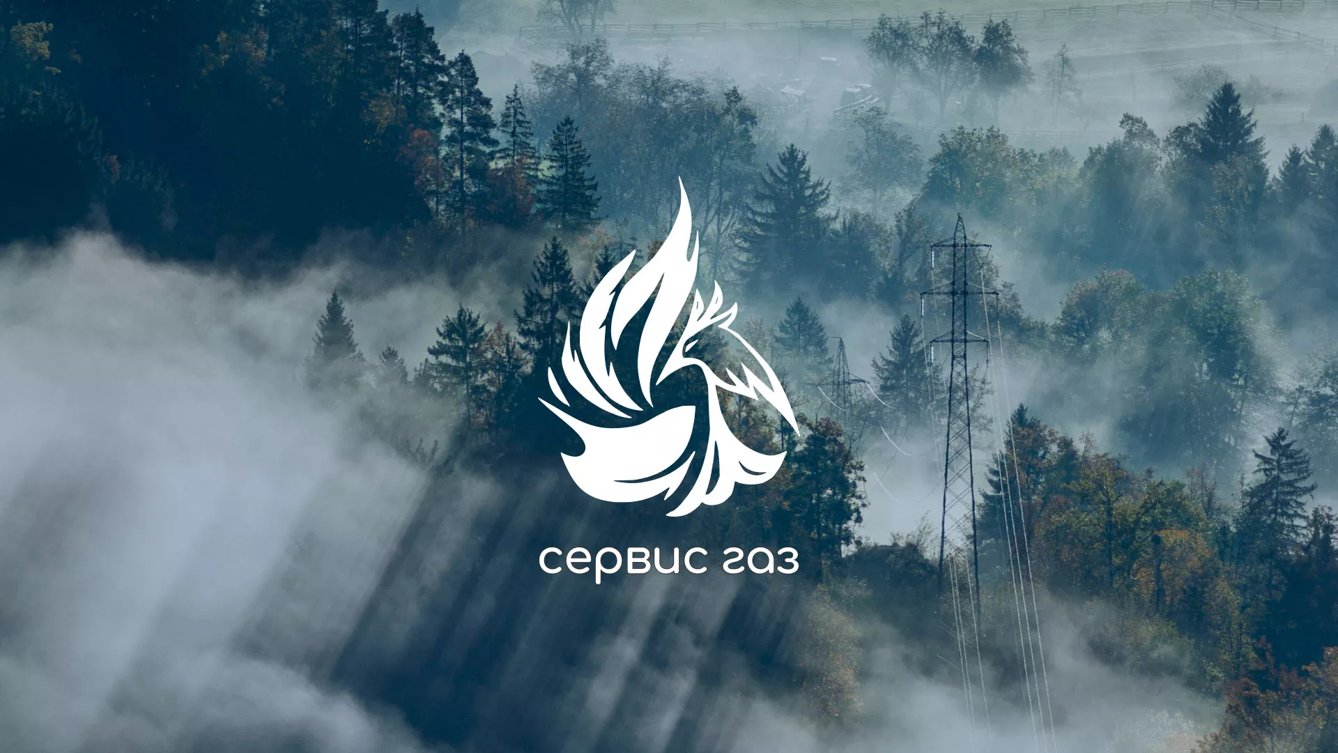 Создание сайта компании «Сервис газ» в Онеге