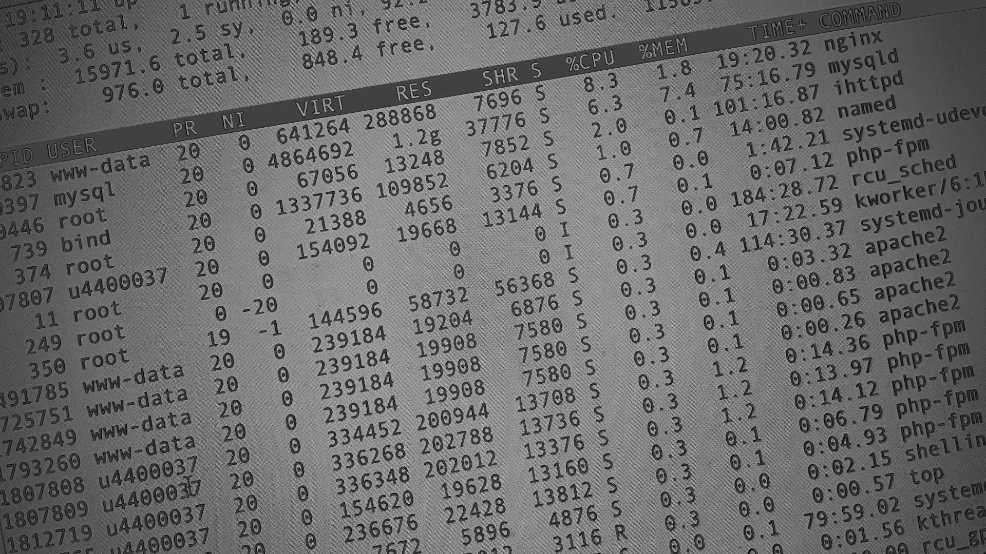 Настройка сервера в Онеге Настройка сервера в Онеге